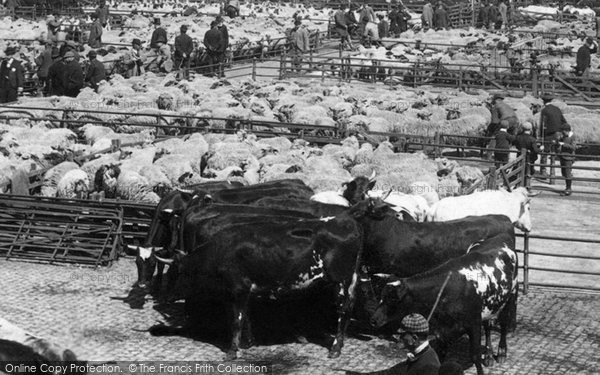 Photo of Norwich, Cattle Market 1896