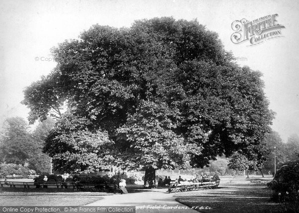 Photo of Norwich, Chapelfield Gardens 1901