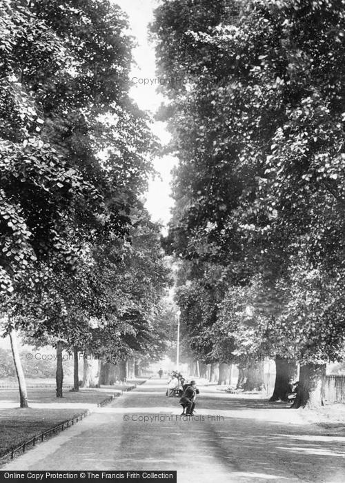 Photo of Norwich, Chapelfield Gardens, The Avenue 1901