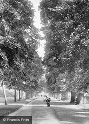 Chapelfield Gardens, The Avenue 1901, Norwich