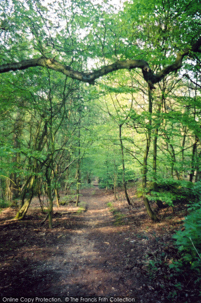 Photo of Norwich, Mousehold Heath, The Long Valley 2004