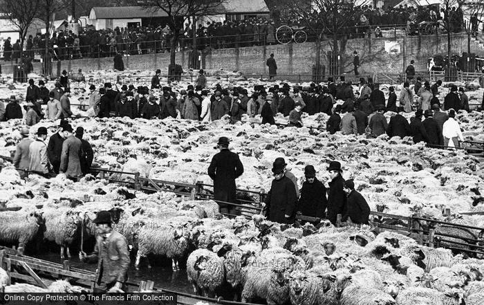 Photo of Norwich, The Sheep Market 1891