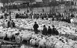 The Sheep Market 1891, Norwich