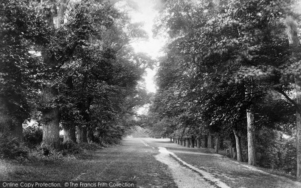 Photo of Nottingham, Clifton Grove 1893