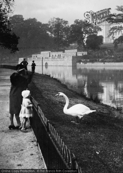 Photo of Nottingham, Feeding The Swans 1928