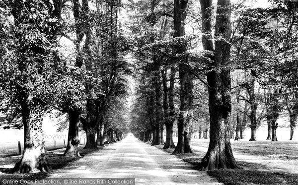 Photo of Nottingham, Wollaton Hall Avenue 1928