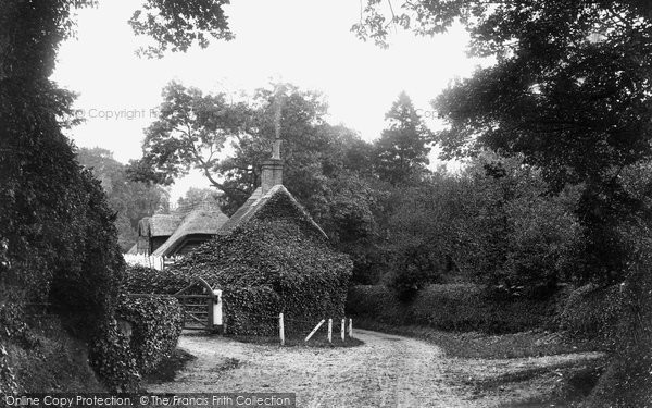 Photo of Nutfield, Cormongers Lane 1907