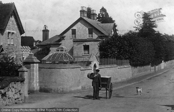 Photo of Nutfield, Delivery Boy, The Village 1908