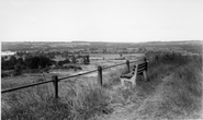 The Downs c.1965, Nutfield