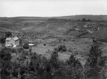 Ashdown Forest 1928, Nutley