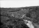 Ashdown Forest 1928, Nutley