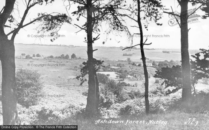 Photo of Nutley, Ashdown Forest c.1950