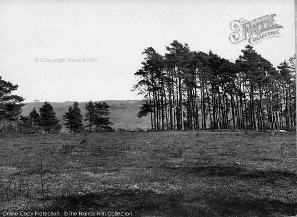 Photo of Nutley, Ashdown Forest, The Clump 1928