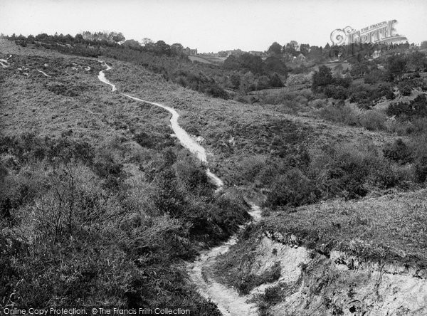 Photo of Nutley, From Ashdown Forest 1928
