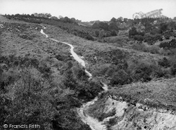From Ashdown Forest 1928, Nutley