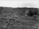 Sheep Grazing, Ashdown Forest 1928, Nutley