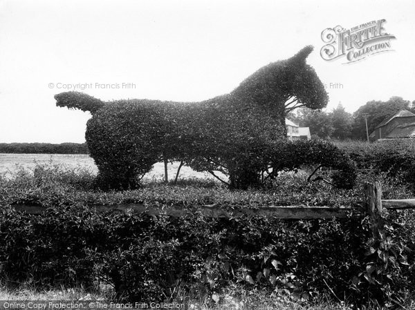 Photo of Oakham, The Hawthorne Horse 1932