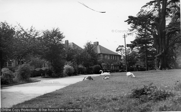 Photo of Oakwood, Lakeside c.1955
