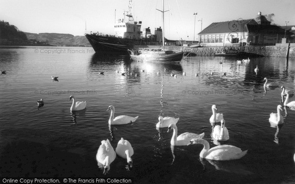 Photo of Oban, Swans By The North Pier 2005