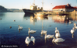 Swans By The North Pier 2005, Oban