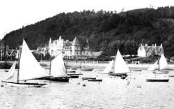 Yachts In The Bay 1901, Oban