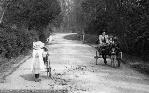 Photo of Ockham, Donkey Cart 1906