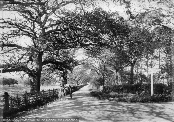 Photo of Ockley, Dorking Road 1906