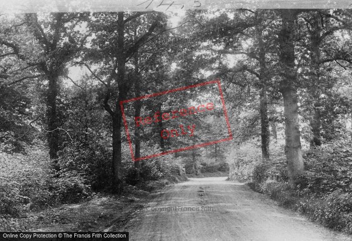 Photo of Ockley, Station Road 1906