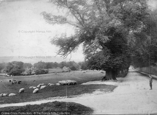 Photo of Ockley, The Green 1903