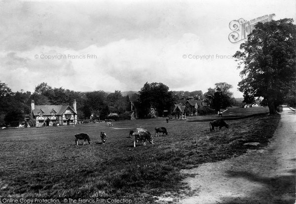 Photo of Ockley, The Green 1903