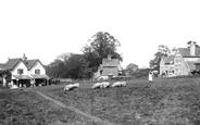 The Green 1905, Ockley