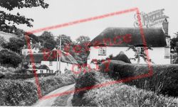 Lower Village c.1955, Offwell