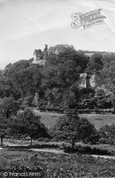 Castle And Park 1893, Okehampton