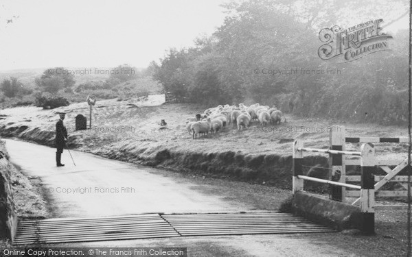 Photo of Okehampton, Dartmoor National Park Entrance c.1960