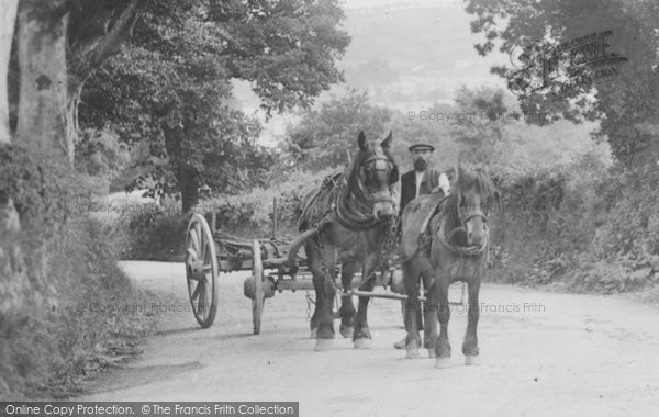 Photo of Okehampton, Horse And Cart 1906
