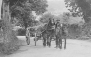 Horse And Cart 1906, Okehampton