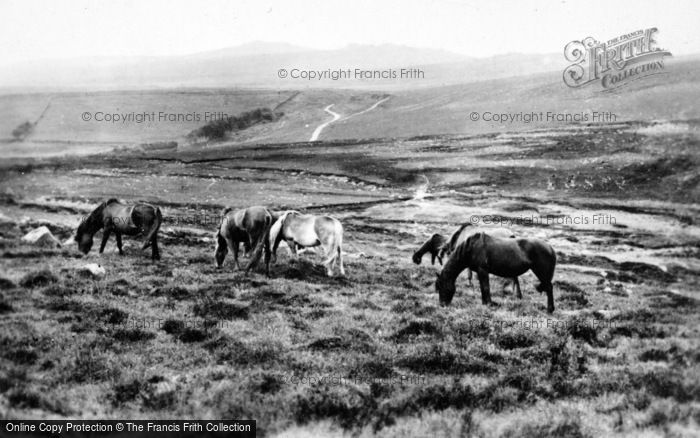 Photo of Okehampton, Yes Tor And Dartmoor Ponies c.1930