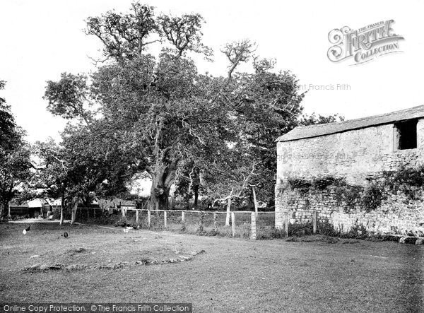 Photo of Old Cleeve, Abbey, The Walnut Tree 1919