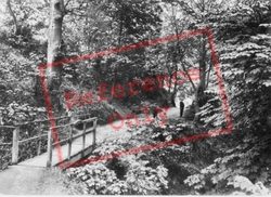 Fairy Glen c.1930, Old Colwyn