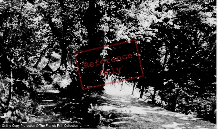 Photo of Old Colwyn, Fairy Glen c.1955