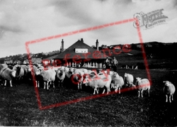 Golf Course c.1930, Old Colwyn