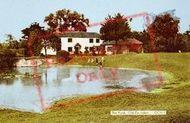 The Pond c.1955, Old Coulsdon
