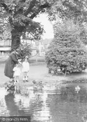 Feeding The Ducks, Plough Green c.1950, Old Malden