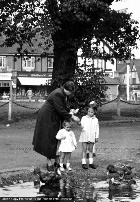 Photo of Old Malden, Plough Green, Feeding The Ducks 1952