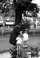 Plough Green, Feeding The Ducks 1952, Old Malden