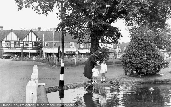 Photo of Old Malden, The Pond, Plough Green 1952