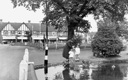 The Pond, Plough Green 1952, Old Malden