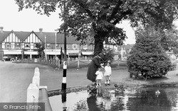 The Pond, Plough Green 1952, Old Malden