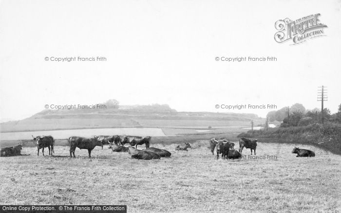 Photo of Old Sarum, From The South 1913