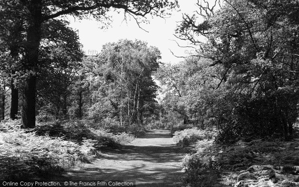 Photo of Ollerton, Sherwood Forest c.1955
